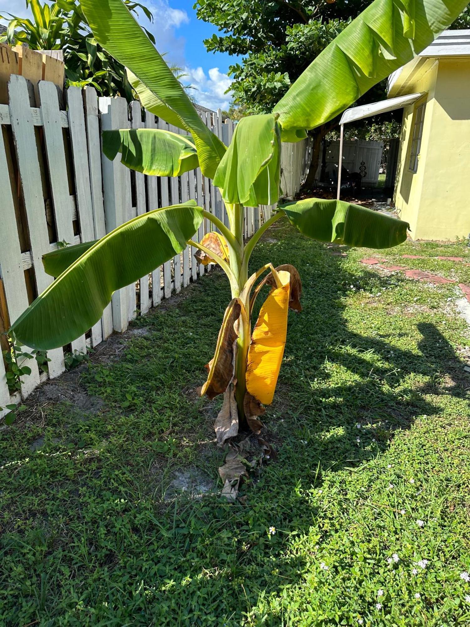 3 Bedroom House Fenced Backyard Private Patio Areas Grill Firepit Plenty Parking! Quick Access 10 Min To Beach Airport Delray West Palm Lake Worth Beach Kültér fotó